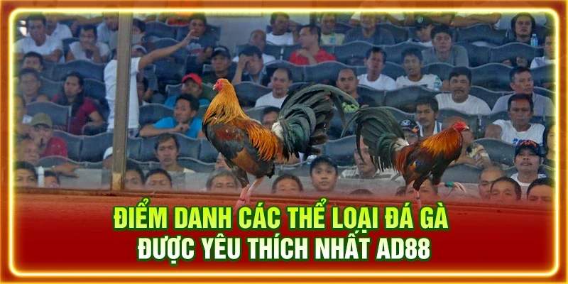Điểm danh các thể loại đá gà được yêu thích nhất AD88